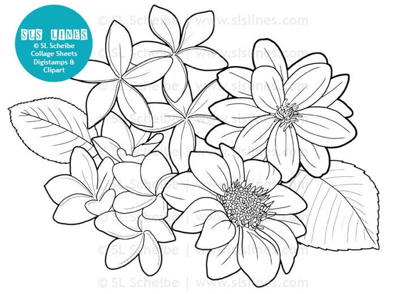 Digistamp Flowers Dahlias Coloring Page Digital Stamp Flower Etsy digistamp flowers dahlias coloring page digital stamp flower adult colouring dahlia