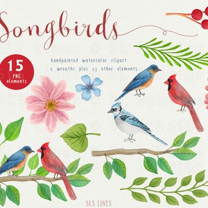 Song Bird Watercolor Clipart, Bird Graphics PNG, Bluejay and Cardinal Clipart