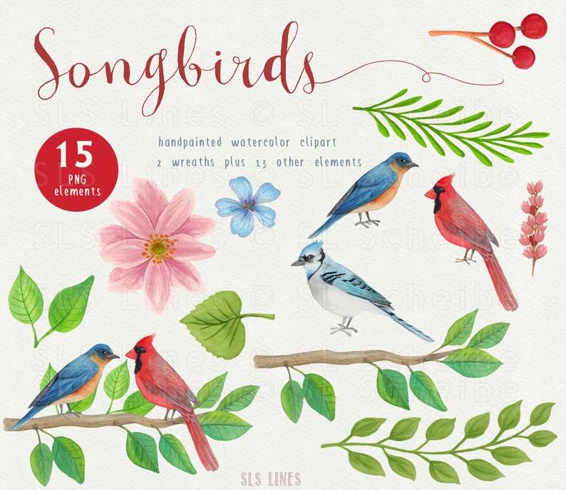 Song Bird Watercolor Clipart, Bird Graphics PNG, Bluejay and Cardinal Clipart