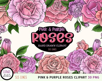 Rose Clipart, Rose illustrations, Hand Drawn Roses, Pink roses, flower graphics, floral illustrations, rose pngs