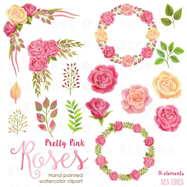 roses watercolor clipart, pink roses with wreaths and laurels,  rose illustrations png
