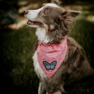 Butterfly Patch Pet Bandana