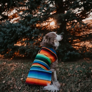 Serape Dog Poncho