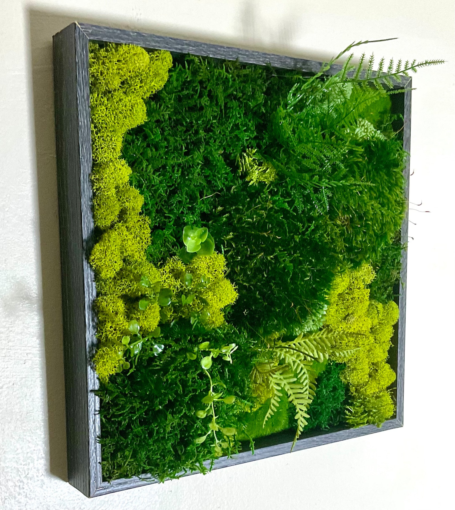 Moss Wall Art Green Plant Wall Decor Preserved Faux Mosses and Plants