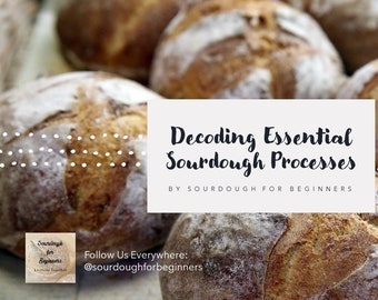 Sourdough Essentials Guide – Sauerteig entschlüsseln – Erfahren Sie, welche Prozesse wesentlich und welche optional sind – von Sourdough für Anfänger