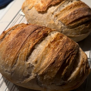 Printable Sourdough Essential Processes Recipes - Starter, Maintenance, Beginner Bread Recipe, Level 2 Hydration Recipes with Instructions