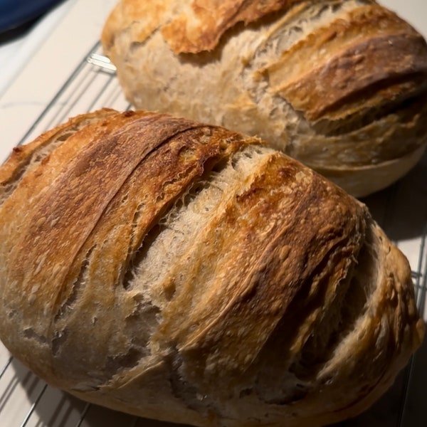 Recettes imprimables des processus essentiels du levain - Entrée, entretien, recette de pain pour débutant, recettes d'hydratation de niveau 2 avec instructions