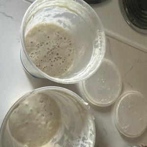 Dehydrated Sourdough Starter Famous Starter named Mama by Sarah from Sourdough for Beginners 15 grams With Full Instructions image 2