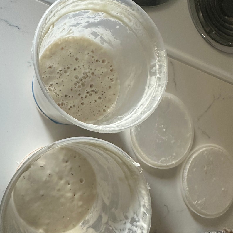 Dehydrated Sourdough Starter Famous Starter named Mama by Sarah from Sourdough for Beginners 15 grams With Full Instructions image 2