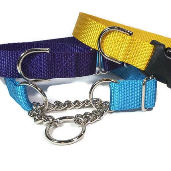 Naked Nylon Dog Collar - 1" Width - Made to Order in Buckle or Martingale or Chain Martingale