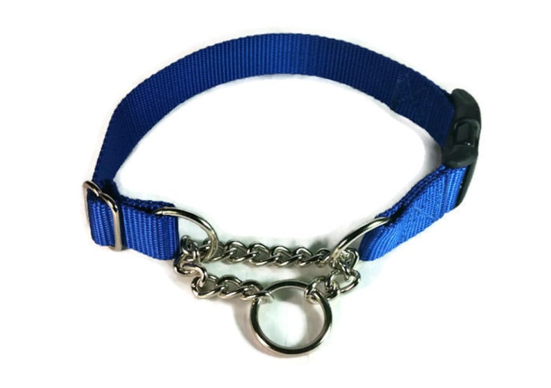 Buckle Martingale Dog Collar ADD ON Must be purchased with Etsy