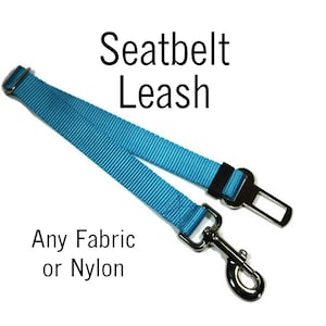 Seat Belt Leash
