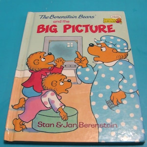BERENSTAINS' BEARS And The Big Picture (1994) Vintage Children's Book - Excellent Condition - Glossy Hard Cover