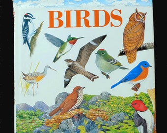 BIRDS Of North America - Science Nature Guides (1994) Glossy Hard Cover With Dust Jacket - Vintage Children's Book - Excellent Condition