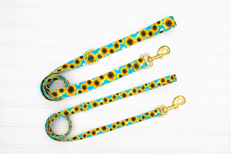 sunflower dog collar and leash