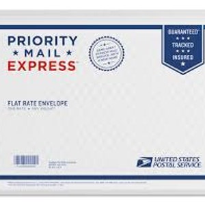 May include: White Priority Mail Express flat rate envelope with a blue and red star design. The envelope is guaranteed, tracked, and insured. The text "PRIORITY MAIL EXPRESS" is printed in bold black letters. The text "FLAT RATE ENVELOPE" is printed in black letters.