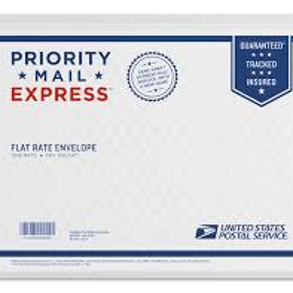 Priority Express Domestic shipping & Priority Express Sample shipping in a Priority Express padded envelope (overnight to many locations)