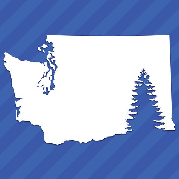 Washington Evergreen Tree WA State Outline Vinyl Decal Sticker