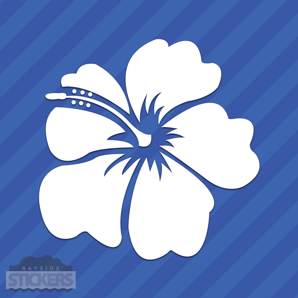 2 Adesivi Per Auto Hawaii USA – Sticker Stato Delle Hawaii, Contorno Ritagliato, 11 Cm, Bianco