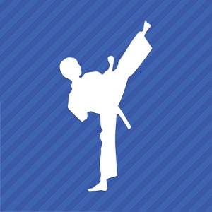 Karate Martial Arts Vinyl Decal Sticker