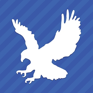 Hawk Vinyl Decal Sticker