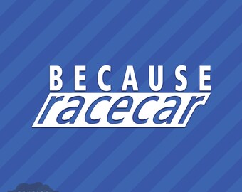 May include: White vinyl decal with the text "BECAUSE racecar" on a blue and white striped background.