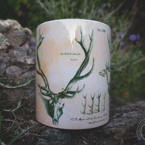 May include: White ceramic mug featuring a green and white illustration of a deer skull with antlers. The text "PLXXVI. Pag. 116. Tab. XIII." is printed on the mug.