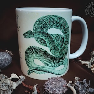 ヴィンテージ セラミックマグカップ - ガラガラヘビの解剖学 -