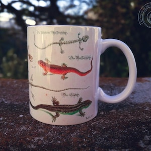 Vintage Keramiktasse - Anatomie der Eidechse -