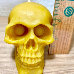 May include: A yellow beeswax skull candle with a small wick on top. The candle is about 3 inches tall.