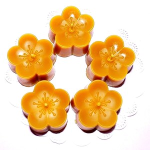 May include: Five small, yellow, wax candles shaped like flowers. The candles have a five-petal design and a small wick in the center of each flower.
