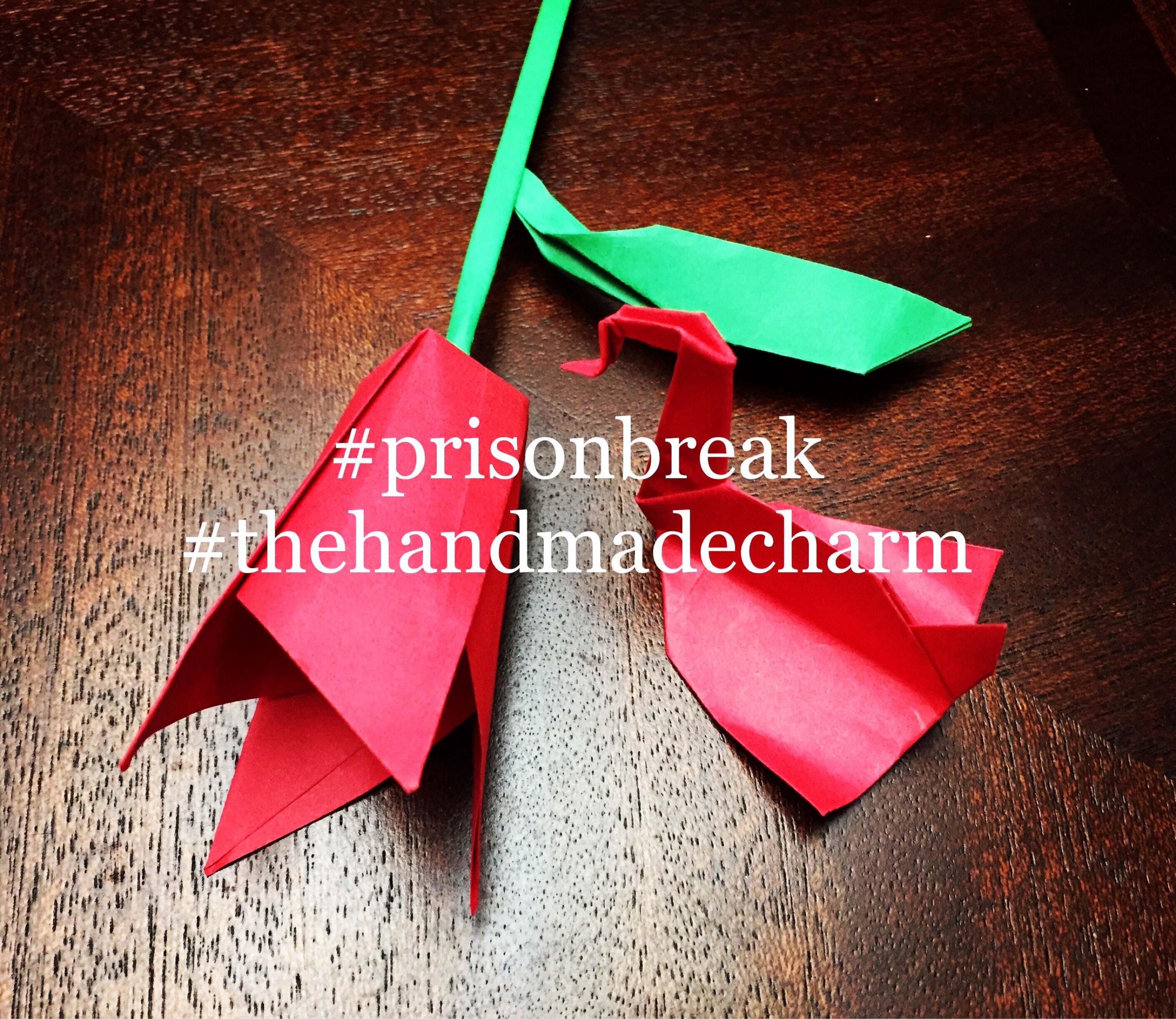 ウェントワースミラー　ドミニクパーセル　直筆サイン　プリズンブレイク Prison break swan - Etsy 日本