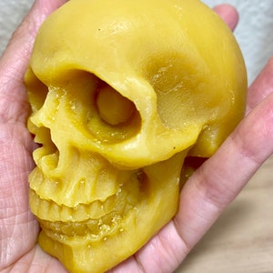 May include: A yellow beeswax skull candle. The candle is detailed with a realistic skull design, including eye sockets, a nose, and teeth.