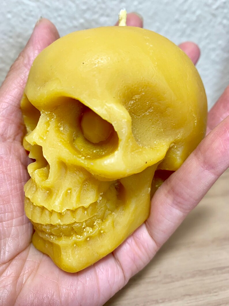 May include: A yellow beeswax skull candle. The candle is detailed with a realistic skull design, including eye sockets, a nose, and teeth.