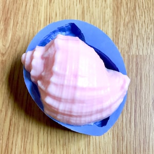 Molde de silicona para conchas marinas, jabón, velas y loción.