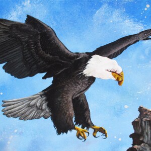 Eagle Point ~ Handimal ~ Print