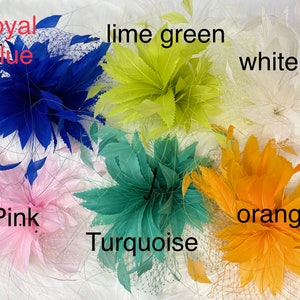 Pu&ograve; includere: Assortimento di fermagli per capelli in piume di vari colori, tra cui blu reale, verde lime, bianco, rosa, turchese e arancione. Ogni fermaglio presenta una delicata rete.