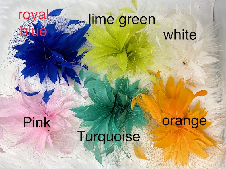 Pu&ograve; includere: Assortimento di fermagli per capelli in piume di vari colori, tra cui blu reale, verde lime, bianco, rosa, turchese e arancione. Ogni fermaglio presenta una delicata rete.