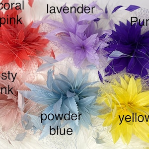 Pu&ograve; includere: Assortimento di sei fermagli per capelli a forma di fiore in vari colori, tra cui rosa corallo, lavanda, viola, rosa polvere, blu polvere e giallo.