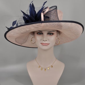 Pu&ograve; includere: Un cappello a tesa larga con una base in paglia rosa e un bordo blu navy. Il cappello ha una piuma blu navy e un ricamo a rete.