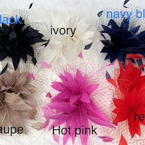 Pu&ograve; includere: Assortimento di fermagli per capelli in piume di vari colori, tra cui nero, avorio, blu navy, tortora, rosa acceso e rosso. Ogni fermaglio presenta un delicato design a piume e una rete trasparente.
