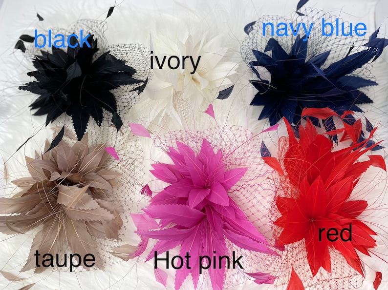 Pu&ograve; includere: Assortimento di fermagli per capelli in piume di vari colori, tra cui nero, avorio, blu navy, tortora, rosa acceso e rosso. Ogni fermaglio presenta un delicato design a piume e una rete trasparente.