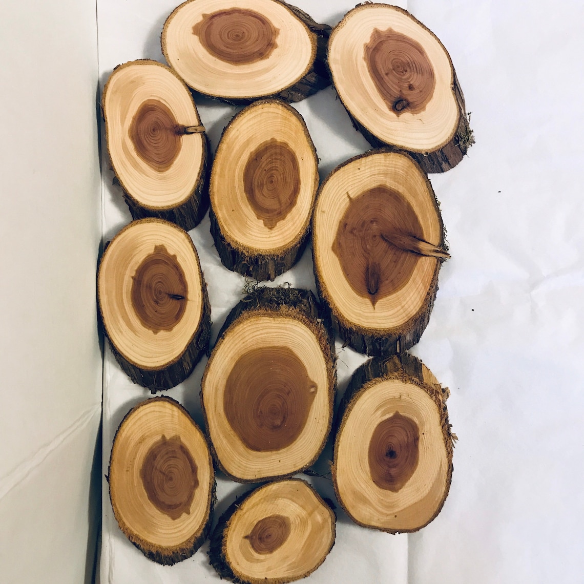 12 Oval Wood Slices Cedar Slices Misc Sizes Similar Craft Art Etsy
