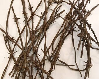 Rusty Barbwire Sticks Mixed Sizes Odds and Ends Straight Or twisted 2 Dozen Pieces