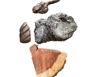 Mixed Rescued Wood Craft Supply Fairyhouse Curiosity Odd Shapes