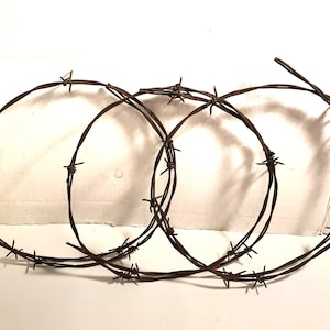 May include: Coiled rusty barbed wire with sharp barbs. The wire is arranged in overlapping circles, creating a textured pattern. The metal has a weathered appearance, suggesting age and exposure to the elements.