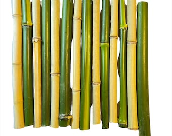 12 Bamboo Cane Sticks Culms Vase Filler Floral Diorama Supply Choose Your Size