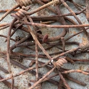 Rusty Metal Bits and Pieces Wire Nails Rust Dye Assemblage Rust Printing  1 Pound Mixed as Pictured
