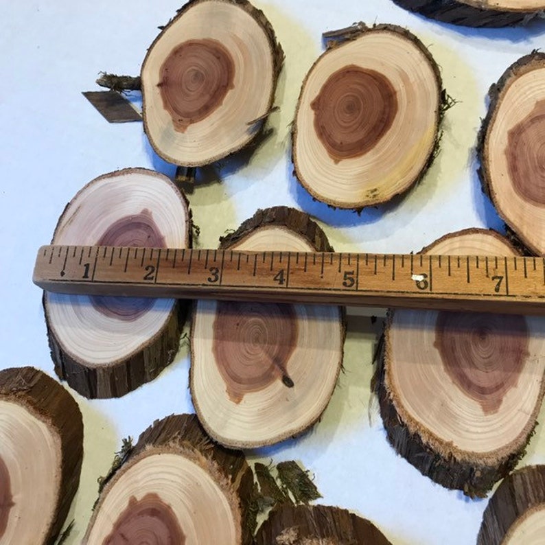 12 Oval Wood Slices Cedar Slices Similar Craft Art Supply Etsy