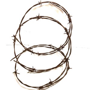 May include: Coiled rusty barbed wire against a white background. The wire is arranged in several concentric circles, with sharp barbs protruding at intervals. The overall effect is a stark, industrial aesthetic.